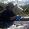 Annie Wabano cutting up fish during a youth camping trip back in August.